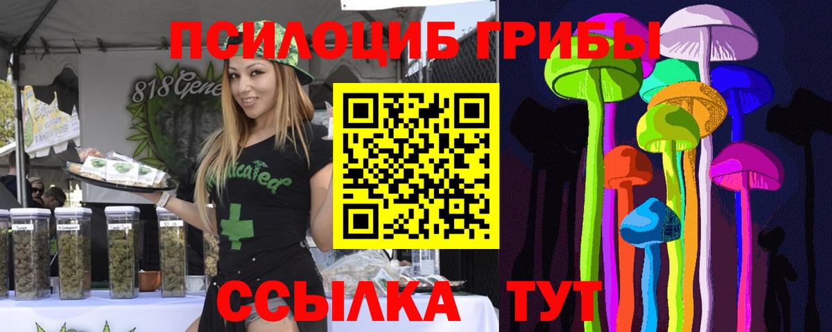 Галлюциногенные грибы Psilocybe Кимовск