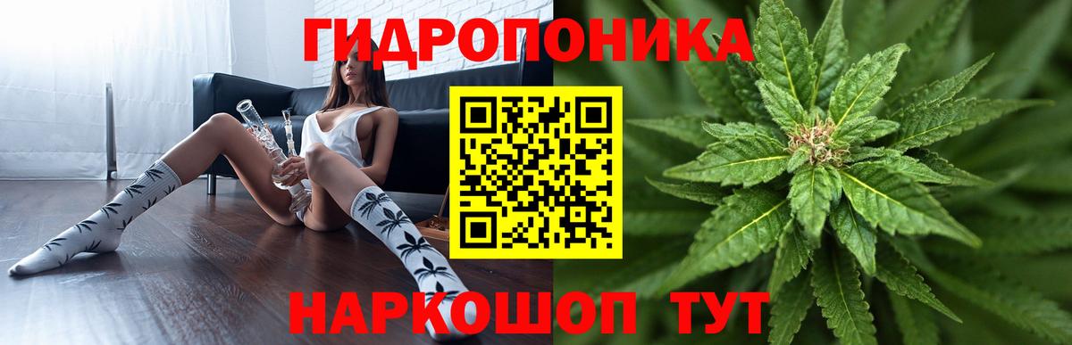 Марихуана Amnesia Кимовск
